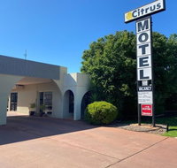 Citrus Motel - Newcastle Accommodation