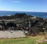 Sea Whispers - New Castle Tourism