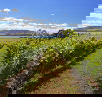 Riversdale Estate Cottages - New Castle Tourism