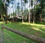 Fernglade on Menzies - New Castle Tourism