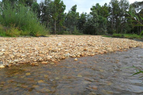 Brookfield Guesthouse - Newcastle Accommodation 7