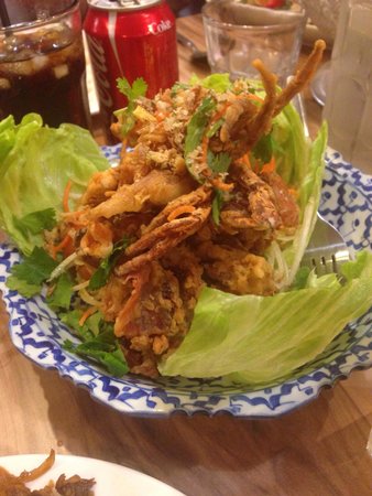 The Green Mango Thai Restaurant - Newcastle Accommodation 0