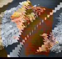 River View Deli Cafe - Newcastle Accommodation