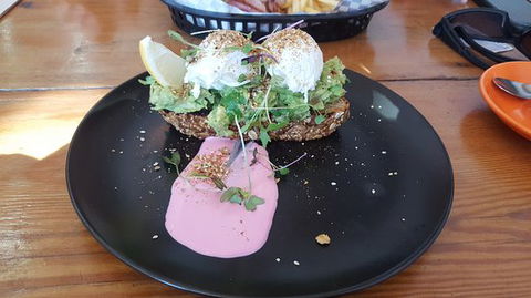 The Blue Dog - Newcastle Accommodation 0