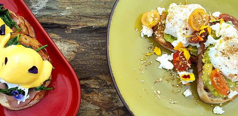 Tarnuk Room & Boon Wurrung Cafe - Newcastle Accommodation 0