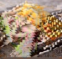 Beach Bites Lane - New Castle Tourism