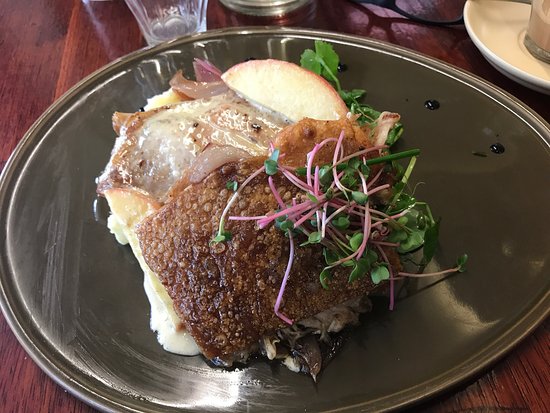 Splitters Creek NSW Newcastle Accommodation