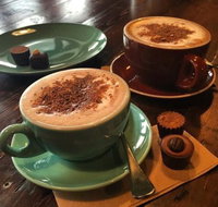 The Chocolate Labrador