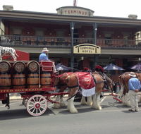 Terminus Hotel - Newcastle Accommodation