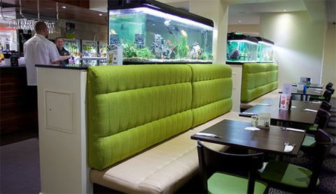 Carriers Arms Hotel Motel - New Castle Tourism 1