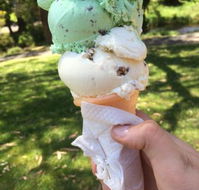 The Rainbow Ice Cream Shop - Newcastle Accommodation