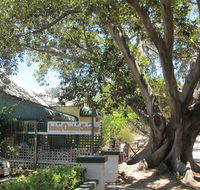 The Season Tree - Newcastle Accommodation