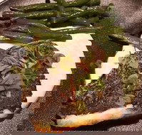 Cento 22 - Newcastle Accommodation