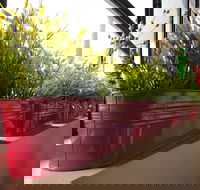 Dinoni - New Castle Tourism