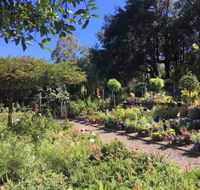 Yatte Yattah Nursery  Cafe - Newcastle Accommodation