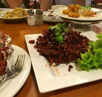 Chan's Canton Village - Newcastle Accommodation