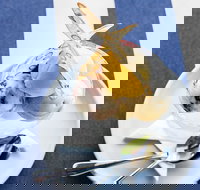 Bells at Killcare Restaurant  Bar - Newcastle Accommodation