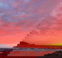 Point Cafe - Newcastle Accommodation