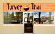 Turvey Thai - thumb 0
