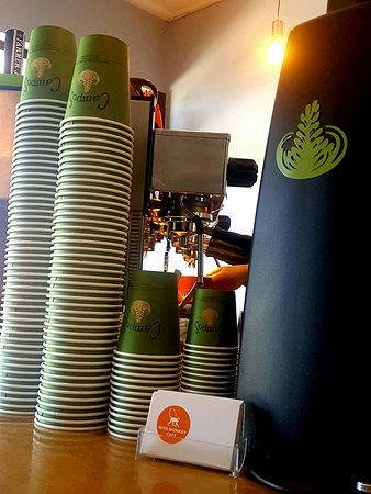 Wise Monkey Cafe - Newcastle Accommodation 0