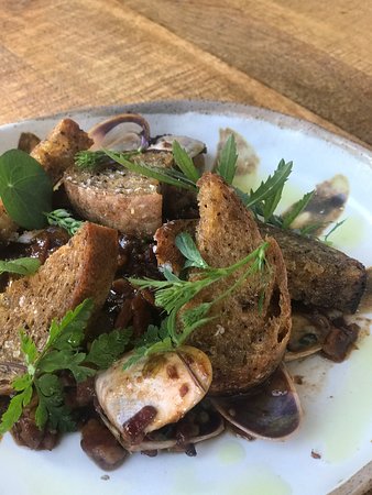 Yamba NSW Newcastle Accommodation