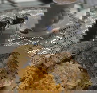 Blu J's - Newcastle Accommodation