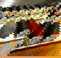 Freewave Sushi  Burgers - Newcastle Accommodation