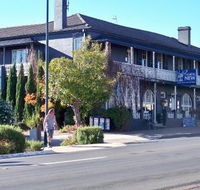 Coachwood  Cedar Motor Hotel Restaurant - Newcastle Accommodation