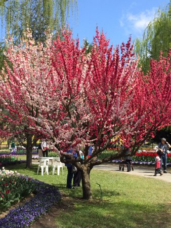 Mirchi Indian Cuisine - New Castle Tourism 0