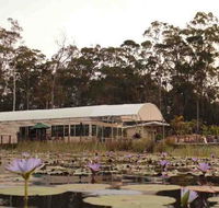 Abundance Cafe and Garden Centre - Newcastle Accommodation