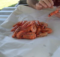 Ballina Fishermen's Co-op - New Castle Tourism