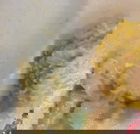 Champs Bistro - Newcastle Accommodation