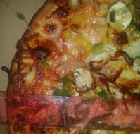 Regal Charcoal Chicken - New Castle Tourism