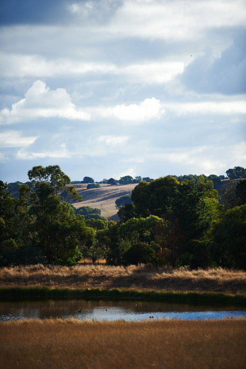 Brae - Newcastle Accommodation 1