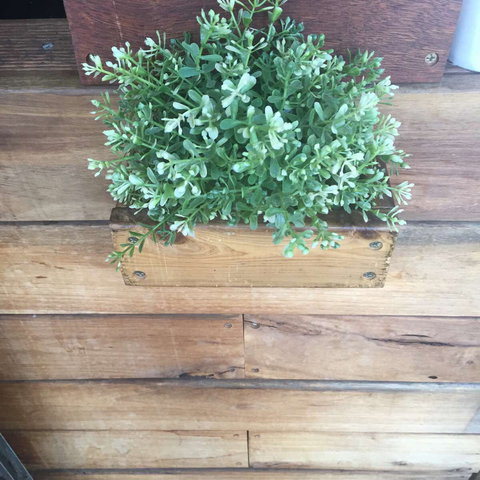 Double Mac - Newcastle Accommodation 0