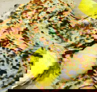 Gozleme King - Macquarie Park - Newcastle Accommodation