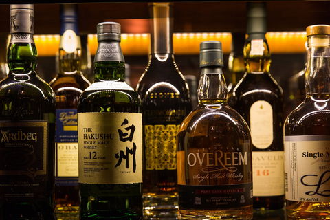 Molly - Newcastle Accommodation 1