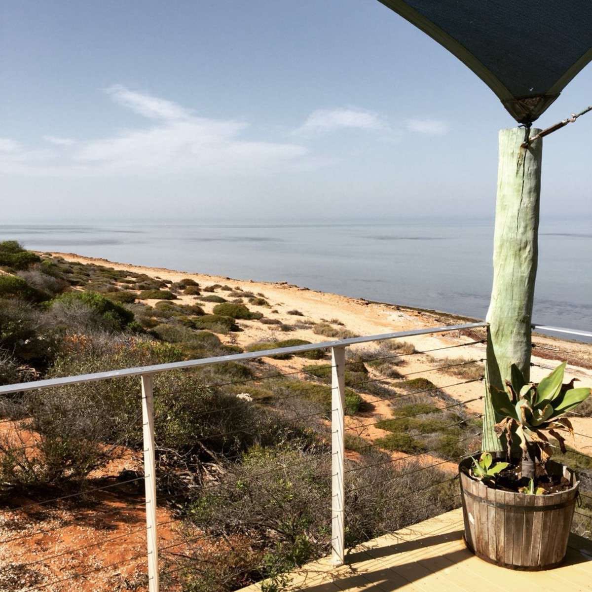 Shark Bay WA Newcastle Accommodation