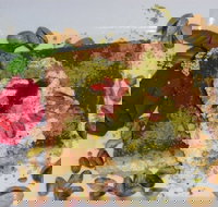 Sweet City - Newcastle Accommodation