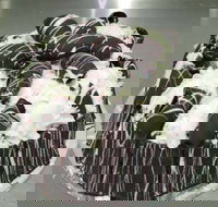 Caf Siciliadolce Pasticceria