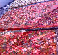 Pizza and Kebab on Bell - Newcastle Accommodation