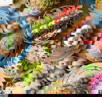 Raw Energy - Sippy Downs - Newcastle Accommodation