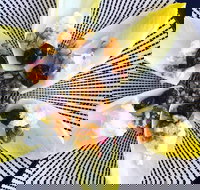 Food Business  Chapel Hill