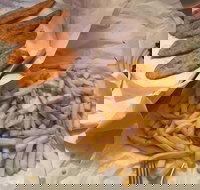 Kingfisher Fish  Chips - Newcastle Accommodation