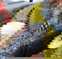 Thomas Holt Roasters - Newcastle Accommodation