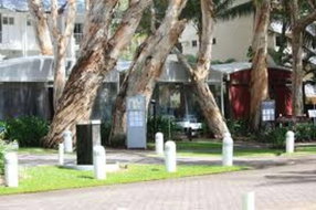 Palm Grove Restaurants and Takeaway Newcastle Accommodation Newcastle Accommodation