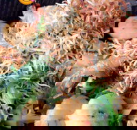 O-sushi - Coolangatta