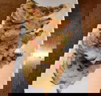 Phill Bean - Newcastle Accommodation