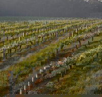 Cape Grace Wines - Newcastle Accommodation