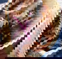 Haci's Kebabs Food Truck - Newcastle Accommodation